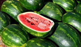 吃瓜娱乐圈图画高清版图片,高清图解明星幕后故事